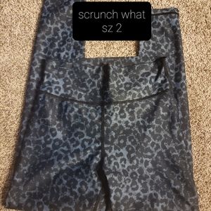 Zyia scrunch what sz 2